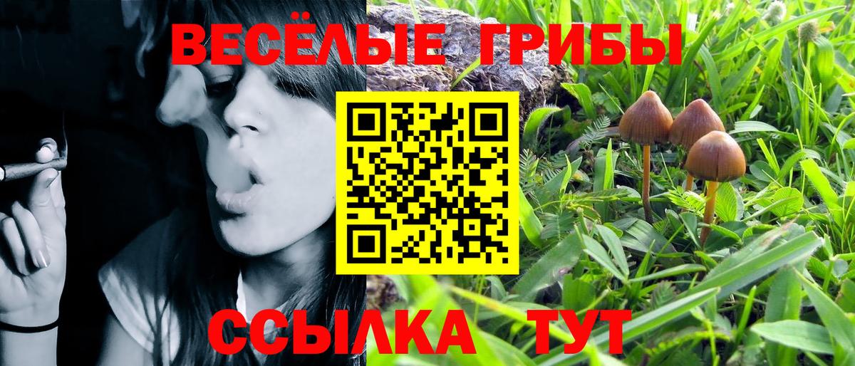 Белогорск  Псилоцибиновые грибы MAGIC MUSHROOMS  Вход с VPN 